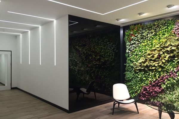 辦公室內植物墻植物