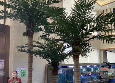 酒店大廳仿真椰子樹