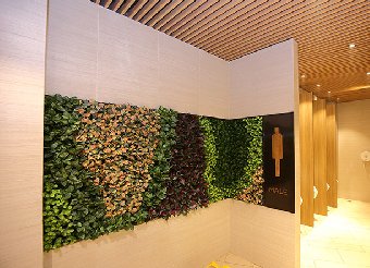 室內植物墻設計公司