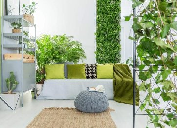 室內植物墻價格